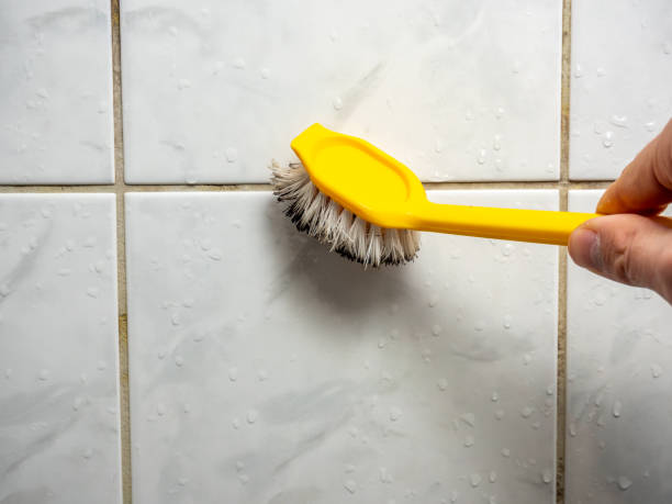 Best Emergency Mold Removal  in Tuscola, IL
