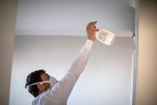 Best Toxic Mold Removal  in Tuscola, IL
