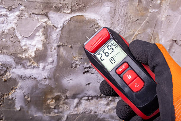 Best Mold Testing  in Tuscola, IL