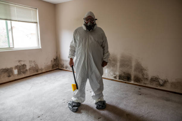 Best Attic Mold Removal  in Tuscola, IL